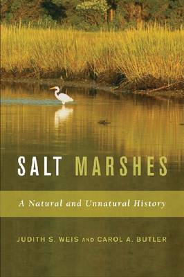Salt Marshes: A Natural and Unnatural History (Hardback)