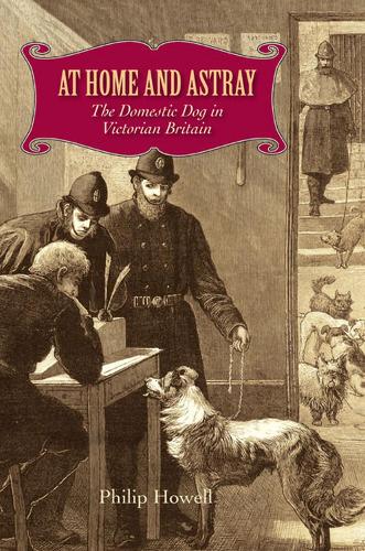 At Home and Astray: The Domestic Dog in Victorian Britain (Hardback)