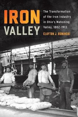 Iron Valley: The Transformation of the Iron Industry in Ohio's Mahoning Valley, 1802-1913 - Trillium Books (Hardback)