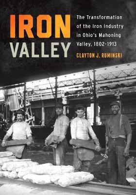 Iron Valley: The Transformation of the Iron Industry in Ohio's Mahoning Valley, 1802-1913 - Trillium Books (Paperback)