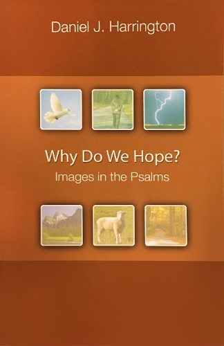 Why Do We Hope?: Images in the Psalms (Paperback)