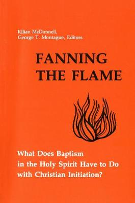 Fanning the Flame: What Does Baptism in the Holy Spirit Have to Do with Christian Initiation? (Paperback)