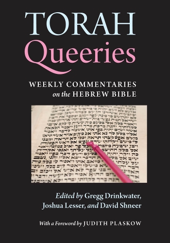 Torah Queeries: Weekly Commentaries on the Hebrew Bible (Paperback)