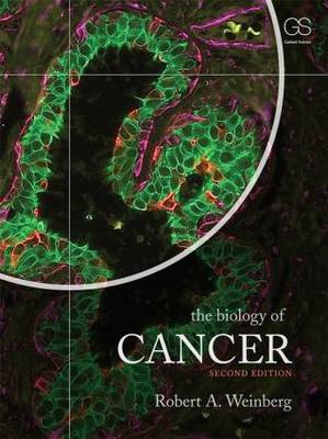 The Biology of Cancer (Paperback)