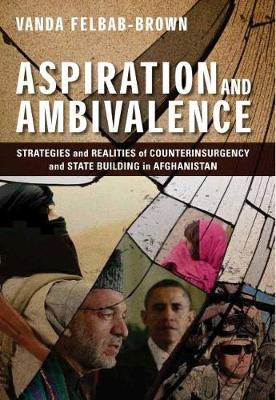 Aspiration and Ambivalence: Strategies and Realities of Counterinsurgency and State-Building in Afghanistan (Hardback)