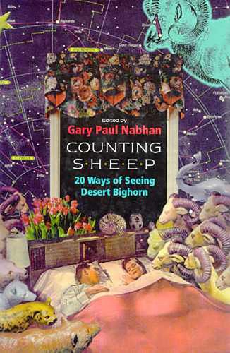 Counting Sheep: Twenty Ways of Seeing Desert Bighorn (Paperback)