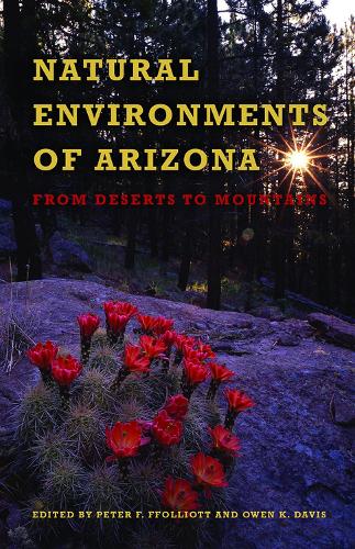 Natural Environments of Arizona: From Desert to Mountains (Paperback)