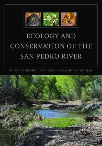 Ecology and Conservation of the San Pedro River (Hardback)