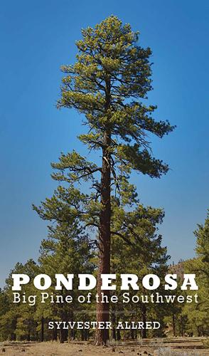 Ponderosa: Big Pine of the Southwest (Paperback)