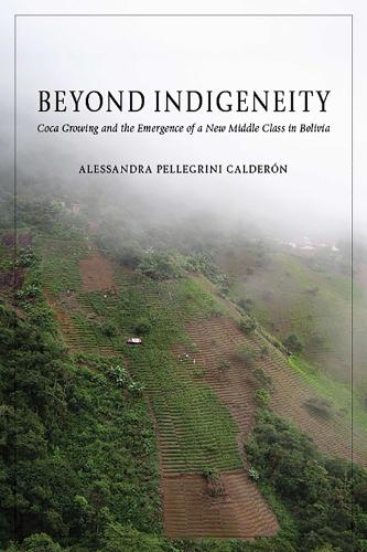 Beyond Indigeneity: Growing and the Emergence of a New Middle Class in Bolivia (Hardback)