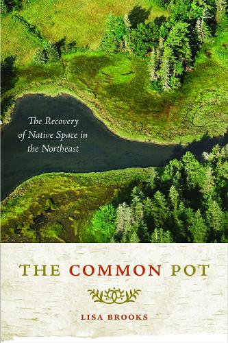 The Common Pot: The Recovery of Native Space in the Northeast (Hardback)