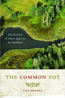 The Common Pot: The Recovery of Native Space in the Northeast (Paperback)