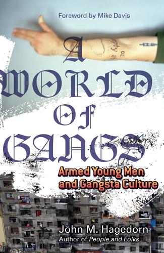 A World of Gangs: Armed Young Men and Gangsta Culture - Globalization and Community (Paperback)