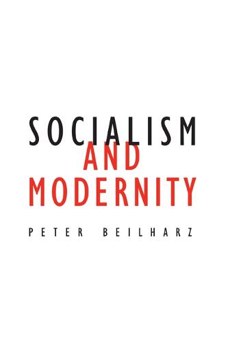 Socialism and Modernity - Contradictions of Modernity (Paperback)