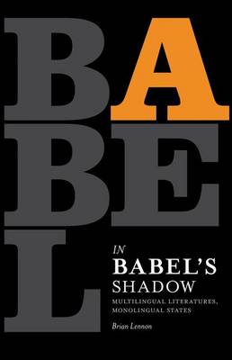 In Babel's Shadow: Multilingual Literatures, Monolingual States (Hardback)
