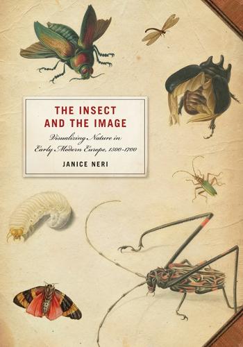 The Insect and the Image: Visualizing Nature in Early Modern Europe, 1500-1700 (Hardback)