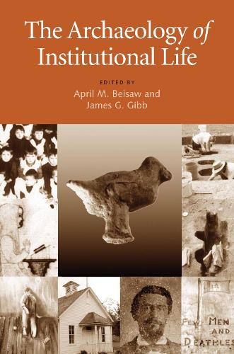 The Archaeology of Institutional Life (Hardback)