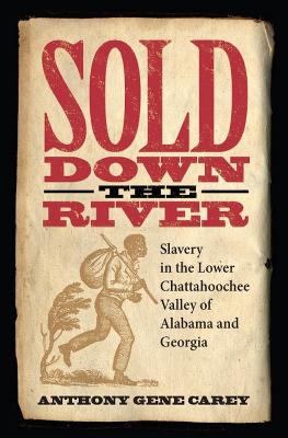 Sold Down the River: Slavery in the Lower Chattahoochee Valley of Alabama and Georgia (Hardback)
