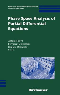 Phase Space Analysis of Partial Differential Equations - Progress in Nonlinear Differential Equations and Their Applications 69 (Hardback)