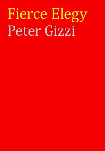 Fierce Elegy (Hardback)
