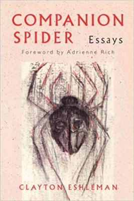 Companion Spider (Paperback)