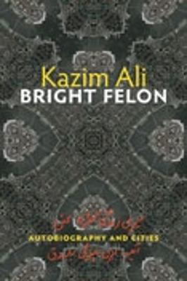 Bright Felon (Paperback)