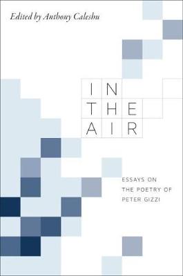 In the Air: Essays on the Poetry of Peter Gizzi (Hardback)