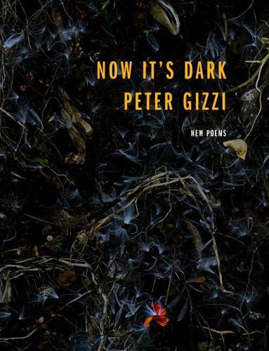 Now It's Dark - Wesleyan Poetry Series (Paperback)