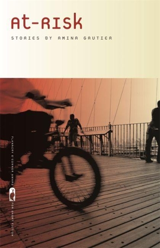 At-Risk: Stories (Hardback)