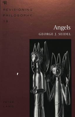 Angels - Revisioning Philosophy 19 (Hardback)