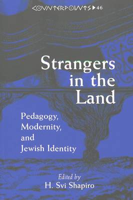 Strangers in the Land: Pedagogy,Modernity,and Jewish Identity - Counterpoints Studies in the Postmodern Theory of Education 46 (Paperback)