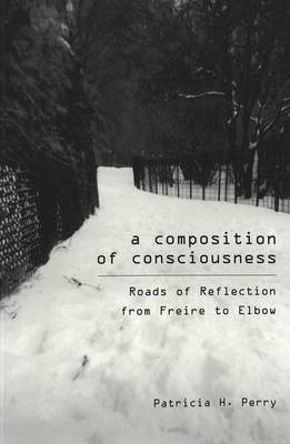 A Composition of Consciousness: Roads of Reflection from Freire and Elbow - Counterpoints 101 (Paperback)
