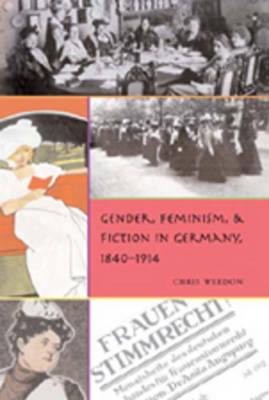 Gender, Feminism, and Fiction in Germany, 1840-1914 - Gender, Sexuality, and Culture 5 (Hardback)
