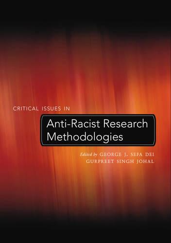 Critical Issues in Anti-Racist Research Methodologies - Counterpoints 252 (Paperback)