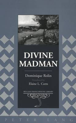 Divine Madman: Reflections on Interpretation and Practice - Belgian Francophone Library 17 (Hardback)