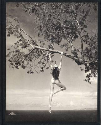 Patrick Demarchelier: Photographs (Hardback)