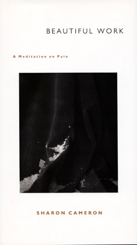 Beautiful Work: A Meditation on Pain (Hardback)