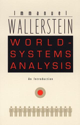 World-Systems Analysis: An Introduction - A John Hope Franklin Center Book (Hardback)