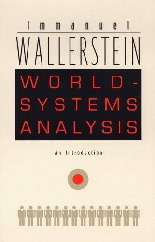 World-Systems Analysis: An Introduction - A John Hope Franklin Center Book (Paperback)