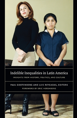 Indelible Inequalities in Latin America: Insights from History, Politics, and Culture (Paperback)