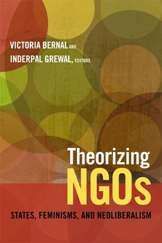 Theorizing NGOs: States, Feminisms, and Neoliberalism - Next Wave: New Directions in Women's Studies (Hardback)