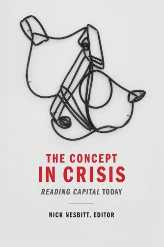 The Concept in Crisis: Reading Capital Today (Paperback)