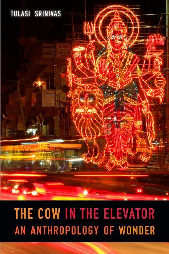 The Cow in the Elevator: An Anthropology of Wonder (Paperback)