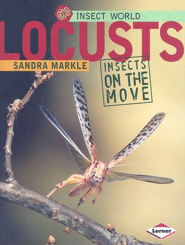 Locusts: Insects on the Move - Insect World (Paperback)