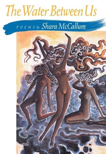 The Water Between Us - Pitt Poetry Series (Paperback)