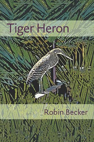 Tiger Heron - Pitt Poetry Series (Paperback)