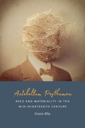 Antebellum Posthuman: Race and Materiality in the Mid-Nineteenth Century (Hardback)