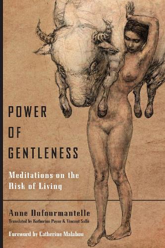 Power of Gentleness: Meditations on the Risk of Living (Paperback)