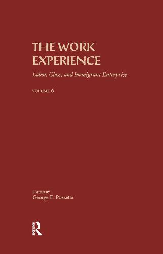 The Work Experience: Labor, Class & Immigrant Enterprise - Immigration and Ethnicity Series (Hardback)