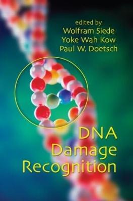 DNA Damage Recognition (Hardback)